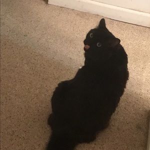 Meet your Posher, Dana